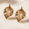 Golden Canopy: The Sculptural Leaf Studs